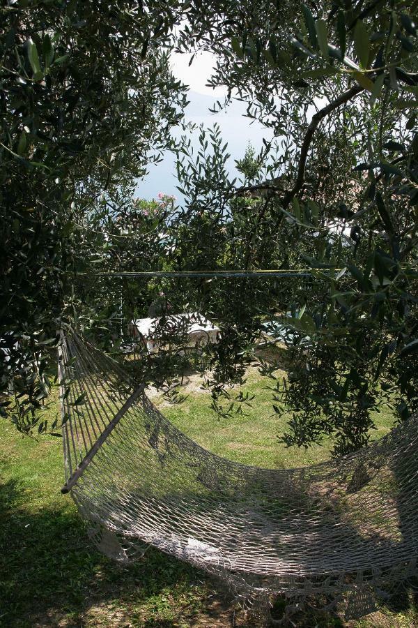 Appartamenti Serena - Nonna Agnese Gargnano Exteriör bild